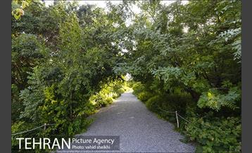 باغ گیاه شناسی ملی ایران  6