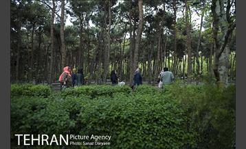 روز طبیعت بارانی در بوستان لاله 4