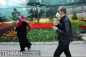 پیاده راه لاله مادران 54