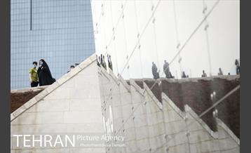 باغ کتاب؛ میزبان جشن ملی پرچم 11