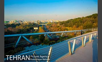 پاییز پل طبیعت 15