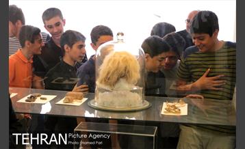 بازدید شجاع پوریان و دانش آموزان از موزه ملی ایران 6