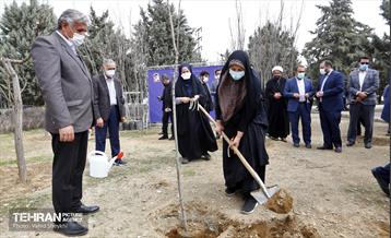 غرس ١٠٠ اصله نهال در دریاچه شهدای خلیج فارس با حضور خانواده شهدای هم محله‌ای 15