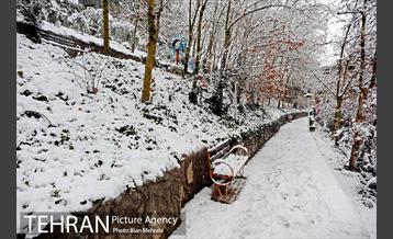 بارش برف زمستانی در تهران 11