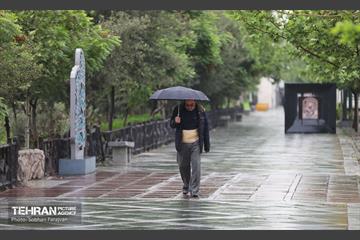 بارش باران بهاری در تهران - 1 16