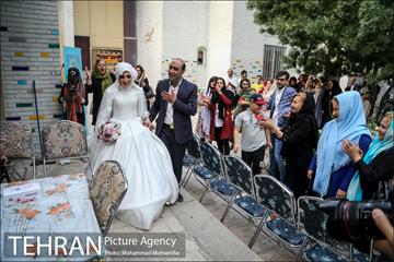 جشن ازدواج دو کارتن خواب بهبود یافته 6