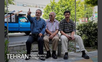 گشتی در خیابان ولیعصر(عج) 17