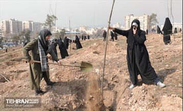 غرس ۲۷۸۲ نهال در سرخه‌حصار به یاد درگذشتگان جامعه پزشکی 8