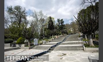 بوستان نیاوران 17