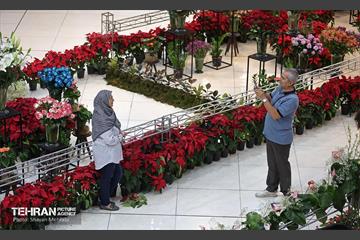 بیستمین نمایشگاه بین‌المللی گل و گیاه 11