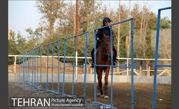 سوارکاری ورزشی برای کودکان‎ 3