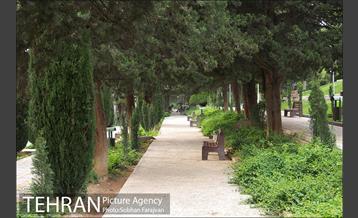 بوستان ساعی 15