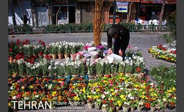نمایشگاه گل و گیاه نوروزی در پیاده راه ۱۷ شهریور