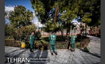 پارک شهر بعد از یک صبح بارانی 15