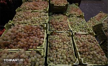 تره‌بار یلدایی 69