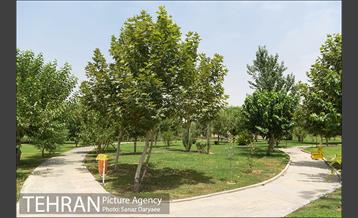 بوستان پردیس بانوان 18