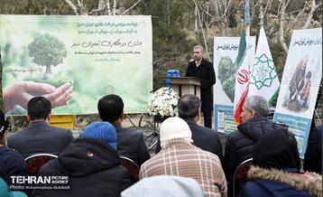 جشن درختکاری در منطقه ۵ 22