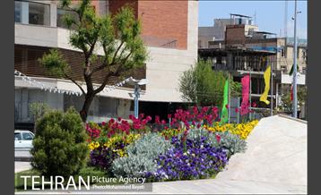 لاله آرایی در منطقه 20