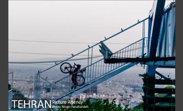 بوستان نهج البلاغه 15