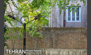 بوستان هورفر 22