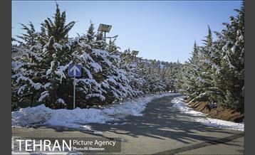 طبیعت برفی تلو 6