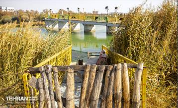 سمفونی رنگ های پاییزی - بوستان رازی 14