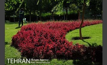 تور عکاسی طبیعت و شهر 9