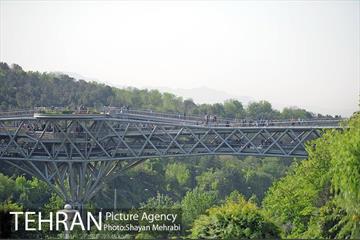 همایش پیاده روی خانوادگی کارکنان شهرداری 33