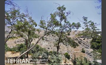 محله گلابدره تهران 7