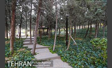 باغ راه فدک 6
