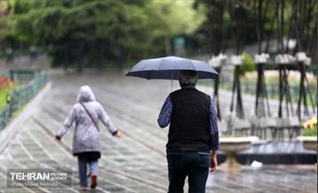بارش باران بهاری در تهران - 2 21