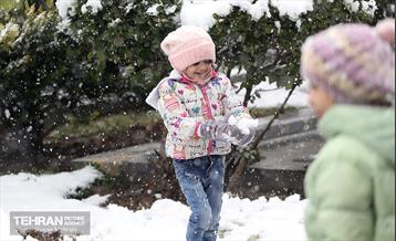 بارش برف در تهران 40