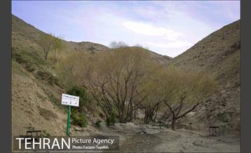 روز طبیعت در بوستان هاى منطقه ٥