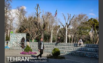 پارک دانشجو 11