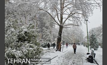بارش اولین برف پاییزی در تهران 27
