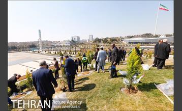 آیین کاشت درخت صلح و دوستی 36