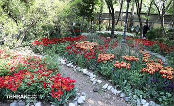 بازدید اصحاب رسانه از باغ ایرانی 2