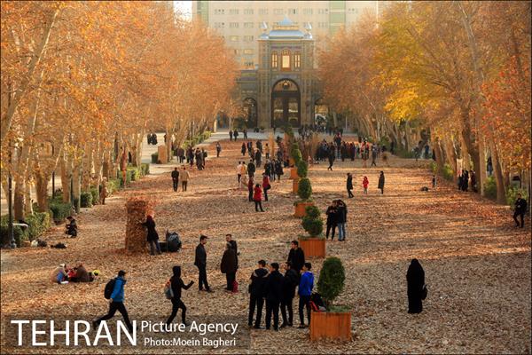 به رنگ پاییز 1