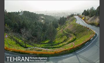 طبیعت بهاری پارک جنگلی لویزان‎  1