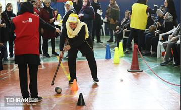 چهارمین رویداد رقابت‌های نشاط سالمندی 11