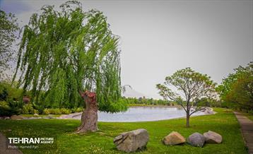 باغ گیاه‌شناسی 28