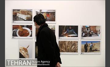 سومین دوره مسابقه عکس خوشه 7