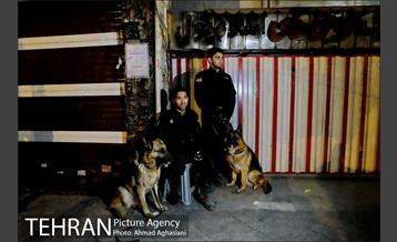 تلاش شبانه برای نجات آتش نشانان بازمانده در پلاسکو 20