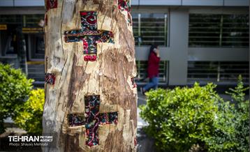 جان دوباره در درختستان 30