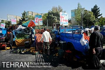 میوه فروشان خیابانی 5