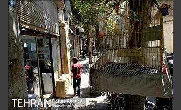 بازارچه معیر 18