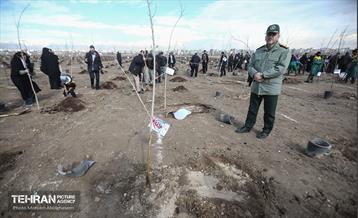 کاشت ۲۴۰۰۰ نهال به یاد شهدای پایتخت 20