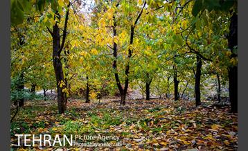 طبیعت پاییزی روستای سنگان 21