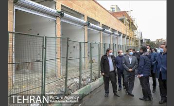 بازدید صبحگاهی سرپرست منطقه ۸، از پروژه‌های عمرانی منطقه 5