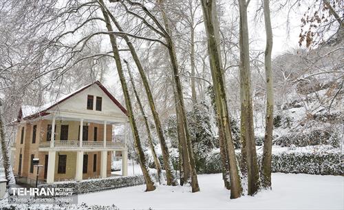 تهران برفی  3